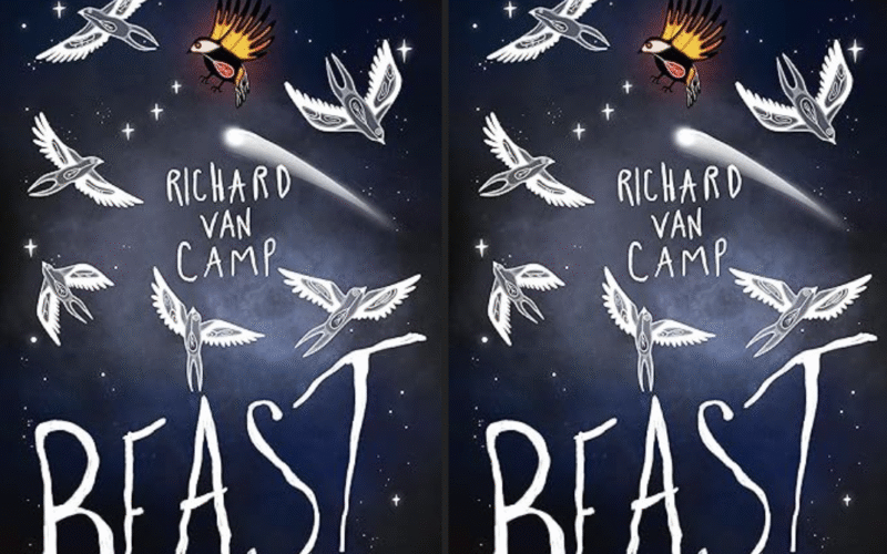two book covers of Beast by Richard Van Camp. The cover has a dark night sky with stars and six gray and white birds that have split tails flying about. There is also a comet and quite a few stars. One more bird is in the sky but it is black and has orange coloring and it also has a spot of red.