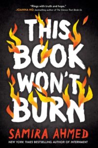 Illustrated cover of This Book Won't Burn has flames all over the title on a black background. 