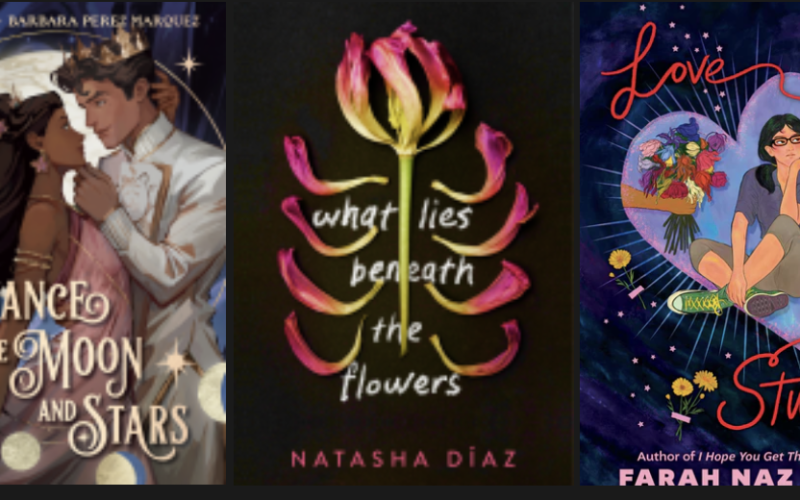 The covers of three books. They are all described individually within the blog post. The Dance the moon and stars, What lies beneath the flowers, and Love Stuck.